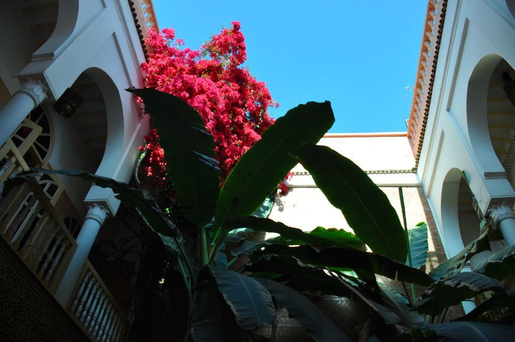 Riad Habib Marraquexe Exterior foto